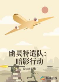 幽灵特遣队：暗影行动