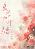 夏季咖啡糖