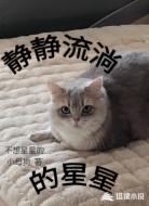 静静流淌的星星