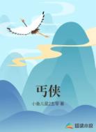 丐侠