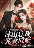 闪婚甜宠,冰山总裁宠妻成瘾