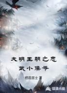 大明王朝之忠武小侯爷