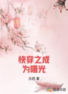快穿之成为曙光