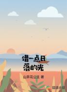 借一点日落的光