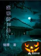 莲花街13号