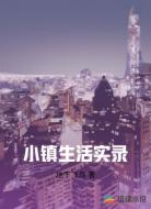 小镇生活实录