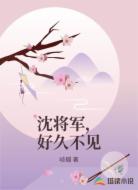沈将军,好久不见