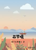 芯梦境