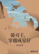 骑刃王,穿越成星仔