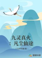 九灵真火:凡尘仙途