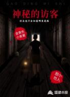 神秘的访客