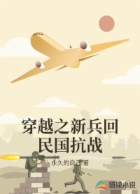 穿越之新兵回民国抗战