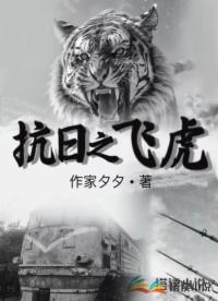 抗日之飞虎