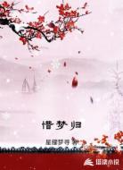惜梦归
