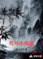 代号小狐狸