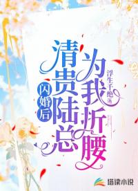 闪婚后,清贵陆总为我折腰
