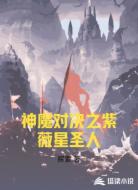 神魔对决之紫薇星圣人