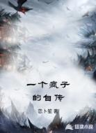一个疯子的自传