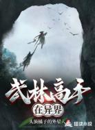 武林高手在异界