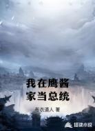 我在鹰酱家当总统