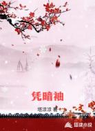 凭暗袖