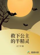 救下公主的半精灵