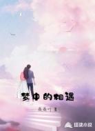 梦中的相遇