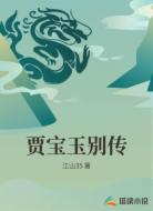 贾宝玉别传
