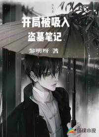 开局被吸入盗墓笔记
