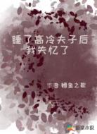 睡了高冷夫子后，我失忆了