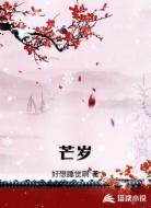 芒岁
