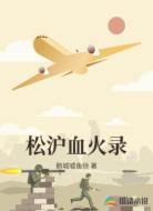 松沪血火录