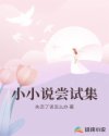 小小說嘗試集