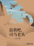 追我吧，司马老头