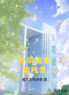 你说冤家搞纯爱