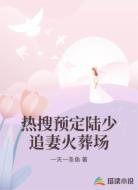 热搜预定陆少追妻火葬场