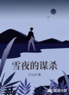雪夜的谋杀