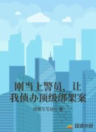 刚当上警员，让我侦办顶级绑架案