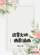 迷雾之谜：幽影追凶