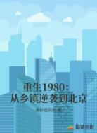 重生1980:从乡镇逆袭到北京