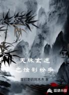 天脉玄途之蚀影纷争
