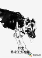 野犬