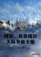 网游，我靠慢出天际争霸全服