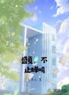 盛夏，不止蝉鸣