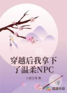 穿越后我拿下了温柔NPC
