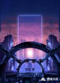 全游高手