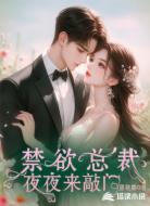 禁欲总裁夜夜来敲门