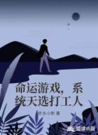 命运游戏，系统天选打工人