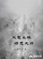 风起长林，精忠大帅