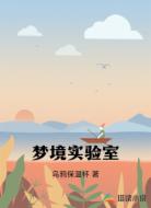 夢境實(shí)驗(yàn)室